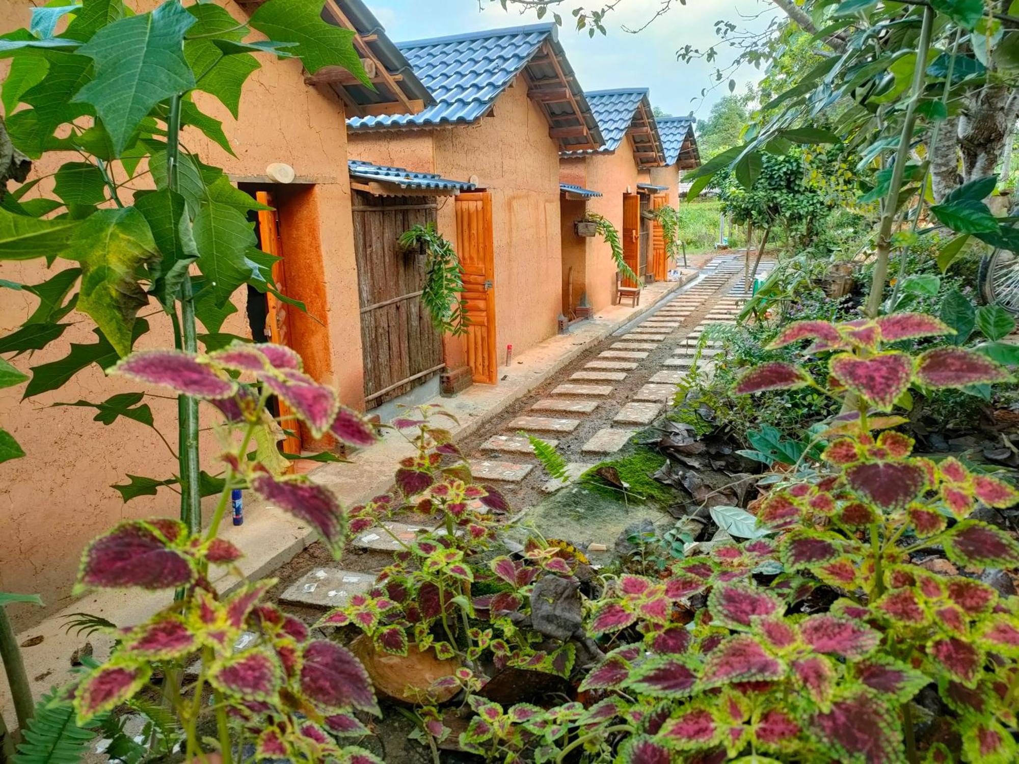 Ly Danh Homestay Quan Ba Værelse billede